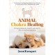 Animal Chakra Healing: Bringing Balance, Health, and Joy to Our Animal Companions