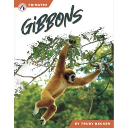 Gibbons