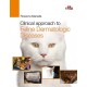 Clinical approach to Feline Dermatologic Diseases