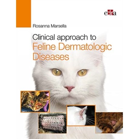 Clinical approach to Feline Dermatologic Diseases