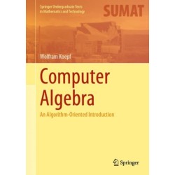Computer Algebra: An Algorithm-Oriented Introduction