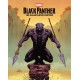 Black Panther: The Illustrated History