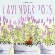 Lavender Pots