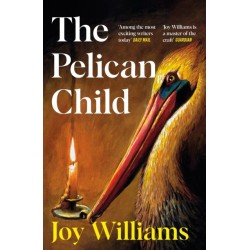 The Pelican Child: Longlisted for the 2025 National Book Award