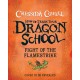 How To Train Your Dragon School: Fight of the Flamestrike: Book 2