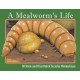 A Mealworm's Life
