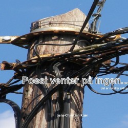 Poesien venter på ingen: det er nu eller aldrig