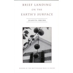 Brief Landing on the Earth's Surface