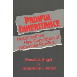 Painful Inheritance: Health and the New Generation of Fatherless Families
