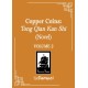 Copper Coins: Tong Qian Kan Shi (Novel) Vol. 2