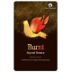 Burnt: Beyond Return
