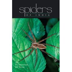 Spiders of India