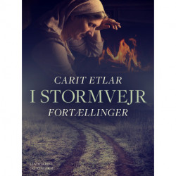 I stormvejr: Fortællinger