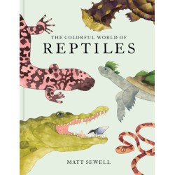 The Colorful World of Reptiles
