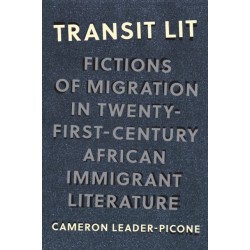 Transit Lit: Fictions of Migration in Twenty-First-Century African Immigrant Literature