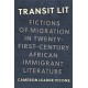Transit Lit: Fictions of Migration in Twenty-First-Century African Immigrant Literature