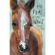 The Foal in the Wire
