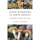 Alpine Mushrooms of North America: Treasures Above Treeline
