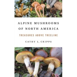 Alpine Mushrooms of North America: Treasures Above Treeline