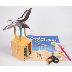 Oyster Catcher -Rob Ives Paper Animation Kit