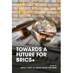 Towards a Future for Brics+