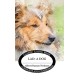 Lad: A Dog