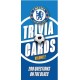 Official Chelsea Trivia Cards 2