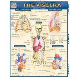 Viscera