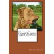 Understand and Train Your Chesapeake Bay Retriever Dog with Good Behavior
