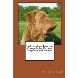 Understand and Train Your Chesapeake Bay Retriever Dog with Good Behavior