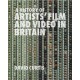 A History of Artists' Film and Video in Britain