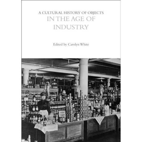 A Cultural History of Objects in the Age of Industry