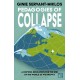 Pedagogies of Collapse: A Hopeful Education for The End of The World as We Know It