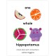 One Whole Hippopotamus: A Book About Parts and Patterns