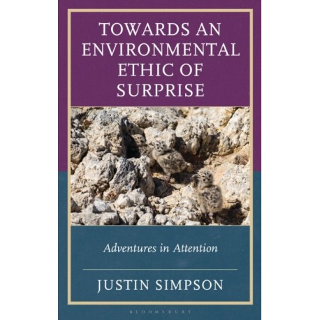 Towards an Environmental Ethic of Surprise: Adventures in Attention