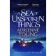 A Sea of Unspoken Things: a spellbinding mystery perfect for winter nights