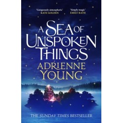 A Sea of Unspoken Things: a spellbinding mystery perfect for winter nights