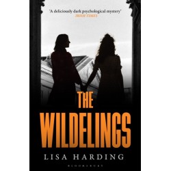 The Wildelings: ‘A deliciously dark psychological mystery’ IRISH TIMES