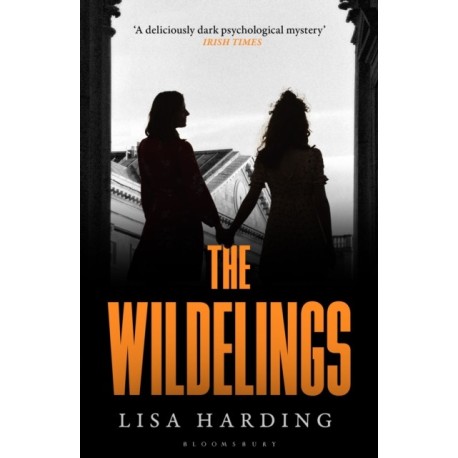The Wildelings: ‘A deliciously dark psychological mystery’ IRISH TIMES