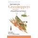 Field Guide to the Grasshoppers and Allies of Great Britain and Ireland: Grasshoppers, Crickets, Earwigs, Cockroaches, Mantids and Stick-insects