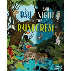 A Day and Night: In a Rainforest