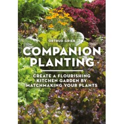 Companion Planting: Create a Flourishing Kitchen Garden By Matchmaking Your Plants