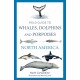 Field Guide to Whales, Dolphins and Porpoises of North America