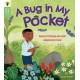 Oxford Reading Tree Green Sparks: Level 5: A Bug in My Pocket