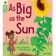 Oxford Reading Tree Green Sparks: Level 1+: As Big as the Sun