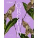 The Orchid: A celebration of the world's most charismatic flower