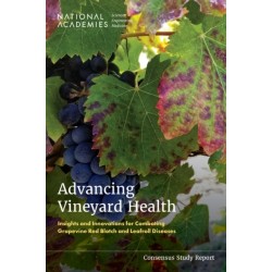 Advancing Vineyard Health: Insights and Innovations for Combating Grapevine Red Blotch and Leafroll Diseases