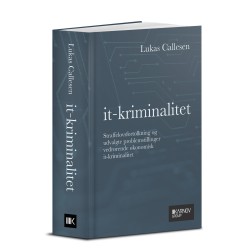 IT-kriminalitet
