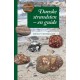 Danske strandsten: En guide