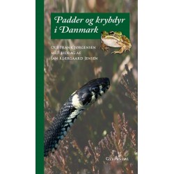 Padder og krybdyr i Danmark